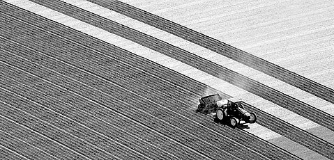 Sontheim - Agricultural Machines and attachments Sontheim - Agricultural Machines and attachments