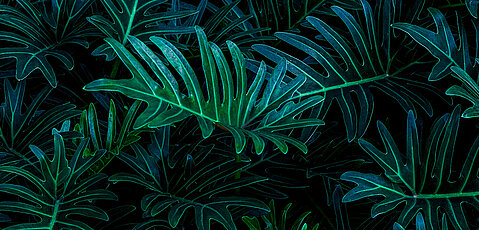 Internet of Things Internet of Things