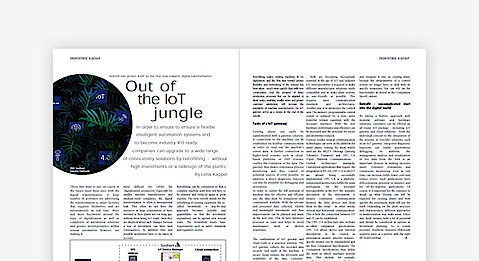 Professional Article: Out of the IoT jungle